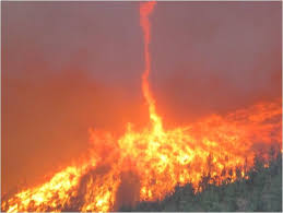 raging forest fire for triple win advisory sustainable business